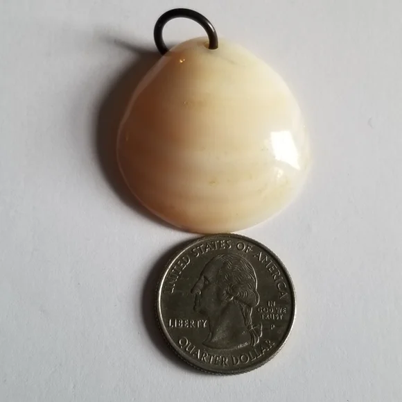 Vintage seashell pendant mother of pearl ocean coastal gold tone beach shell - Picture 2 of 10